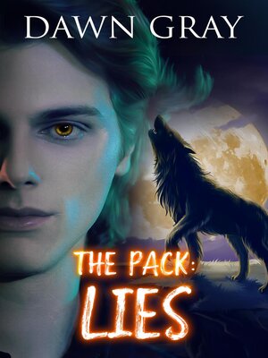 cover image of Lies